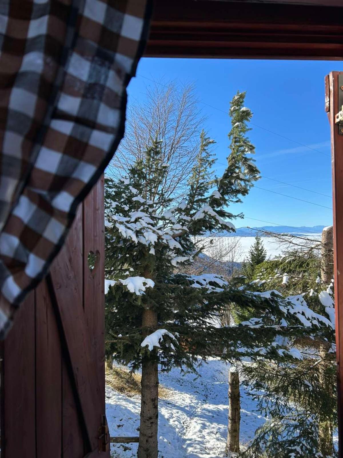 Planinske Vile M&S Kopaonik Exteriör bild