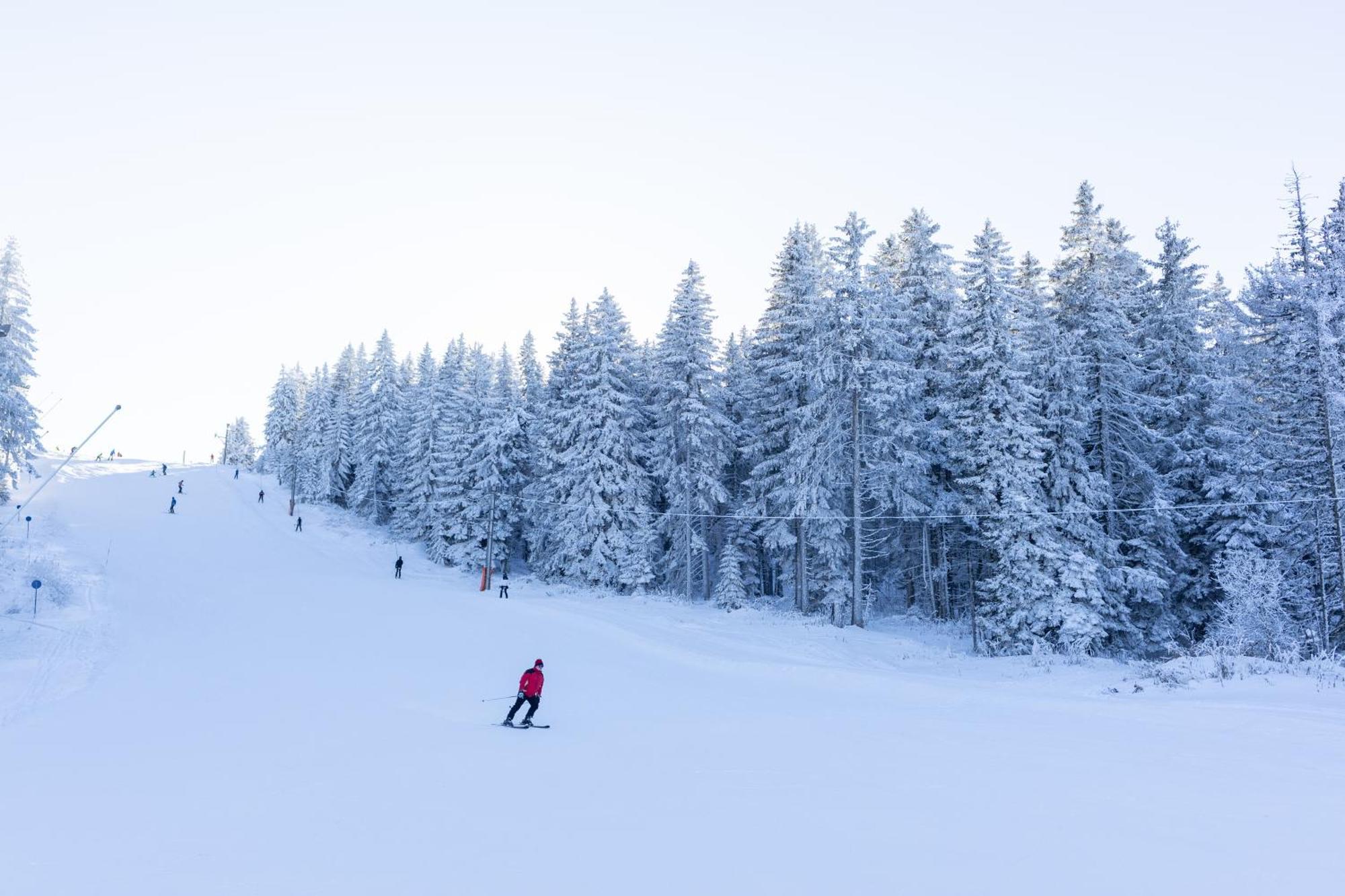 Planinske Vile M&S Kopaonik Exteriör bild